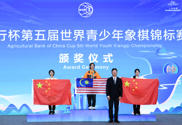 两项象棋赛事在上海落幕，1200场对局掀起联动世界的狂欢