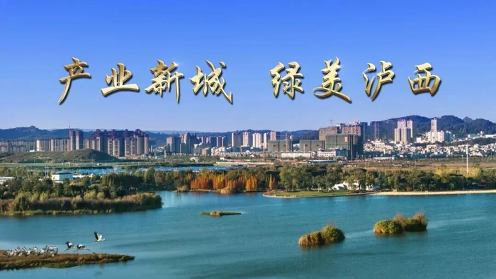 切磋球艺乐享健身，全州老年人柔力球比赛落下帷幕