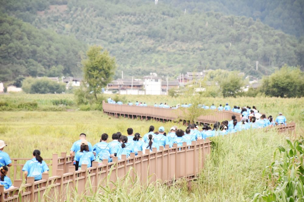 玉龙县“全民健身日”系列活动中，参赛选手沿着拉市海环湖生态步道奔跑。（丽江融媒记者 杨四娟 摄）