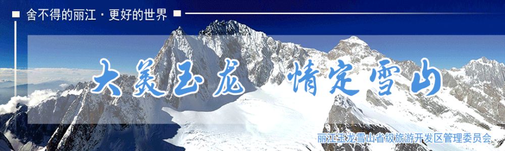 记者/木红豆