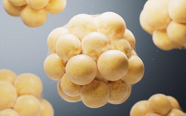 脂肪是怎么被消耗掉的？4个方法提升脂肪氧化效率
