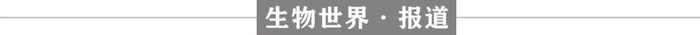 Nature子刊：北京大学刘涛团队开发炎症响应的蛋白质工程策略，利用一氧化氮信号控制蛋白质功能的开启